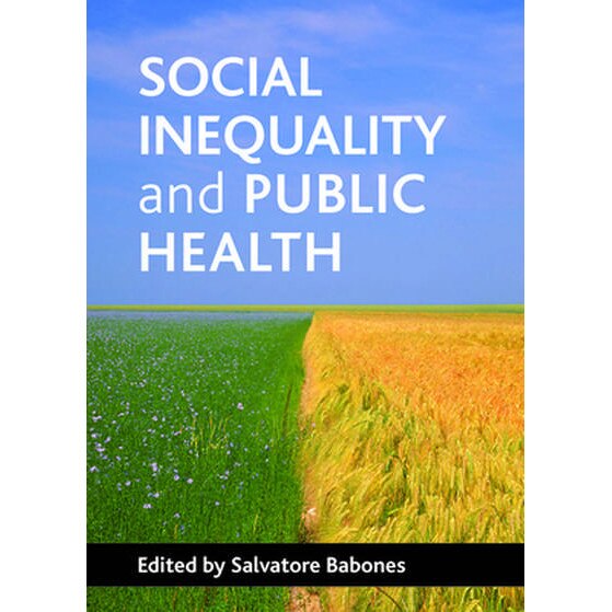 Social Inequality And Public Health De Salvatore Babones - EMAG.ro