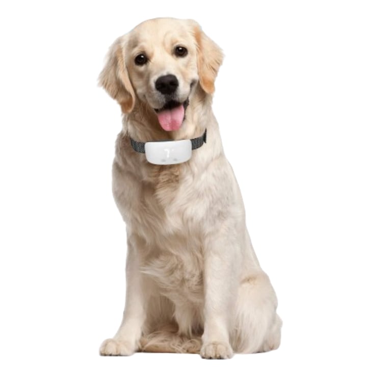 Zgarda electrica profesionala pentru dresaj Luxena, antilatrat, cu acumulator, curea reflectorizanta, butoane cu touch, rezistenta la apa si praf, alba, caini talie mica si mare, 7 nivele, sunet, socuri, vibratii