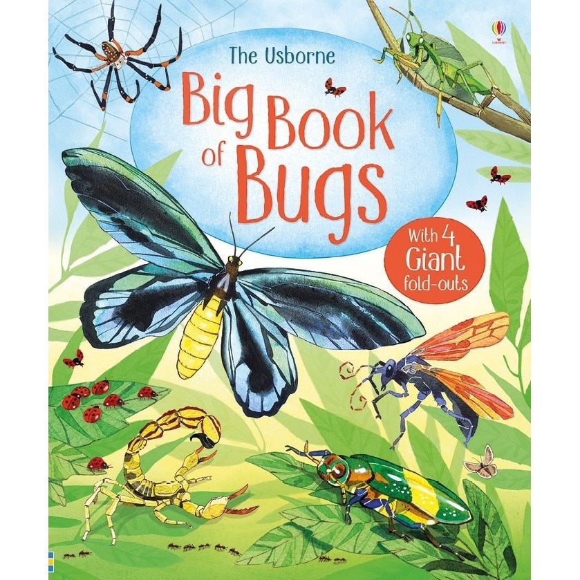 Big Book of Big Bugs - Carte Usborne (4+)