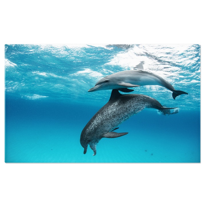 Tablou canvas cu ocean, lumina soarelui, delfini, inot, nisip, animal, multicolor 140x90