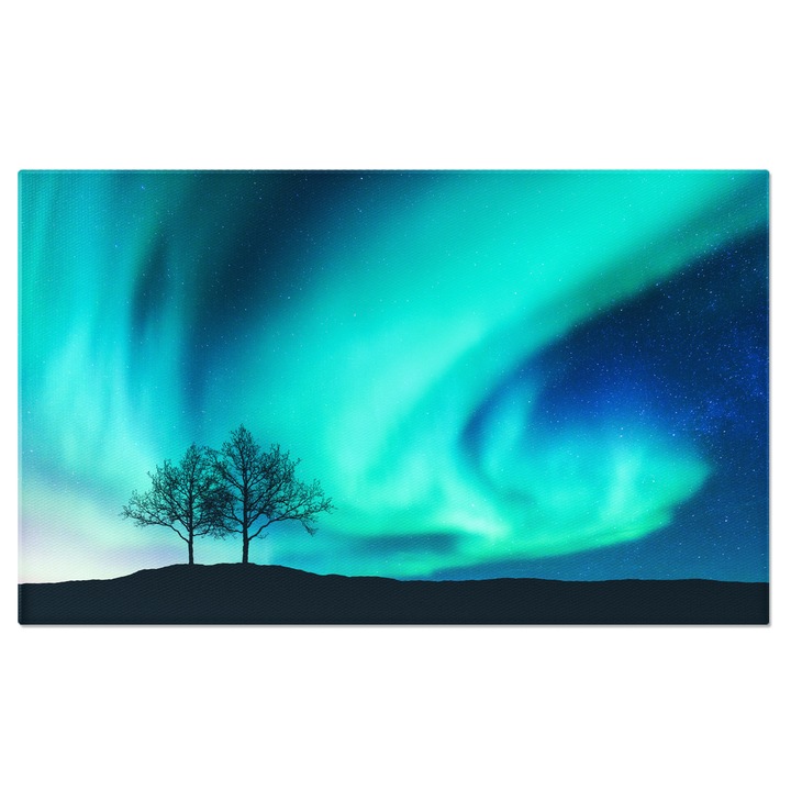 Tablou canvas cu copaci, noapte, aurora boreala, stele, multicolor 90x60