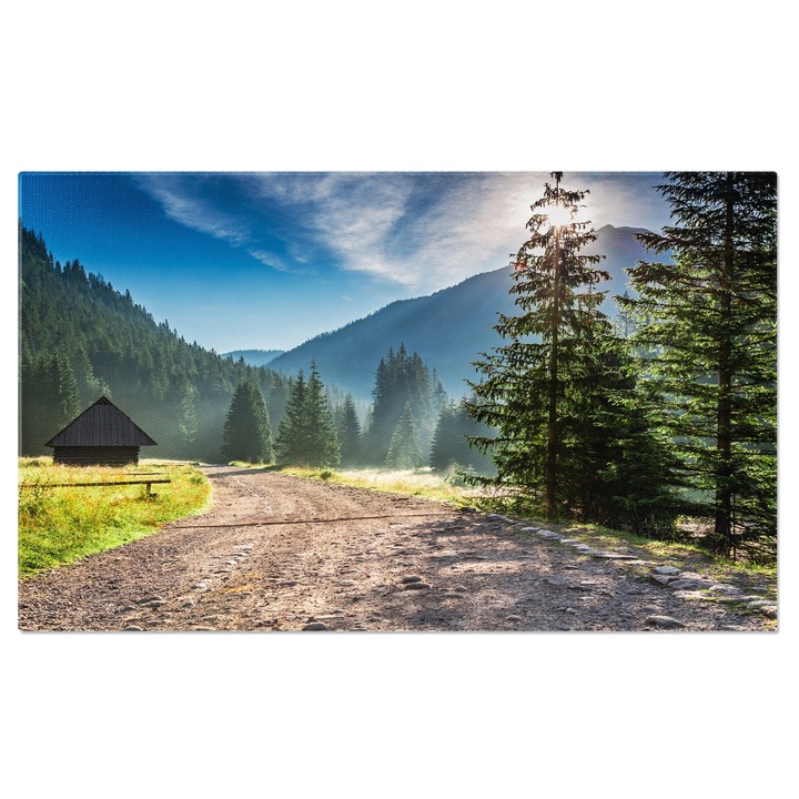 Tablou canvas cu drum, munti, padure, conifere, cabana de lemn, multicolor 90x60