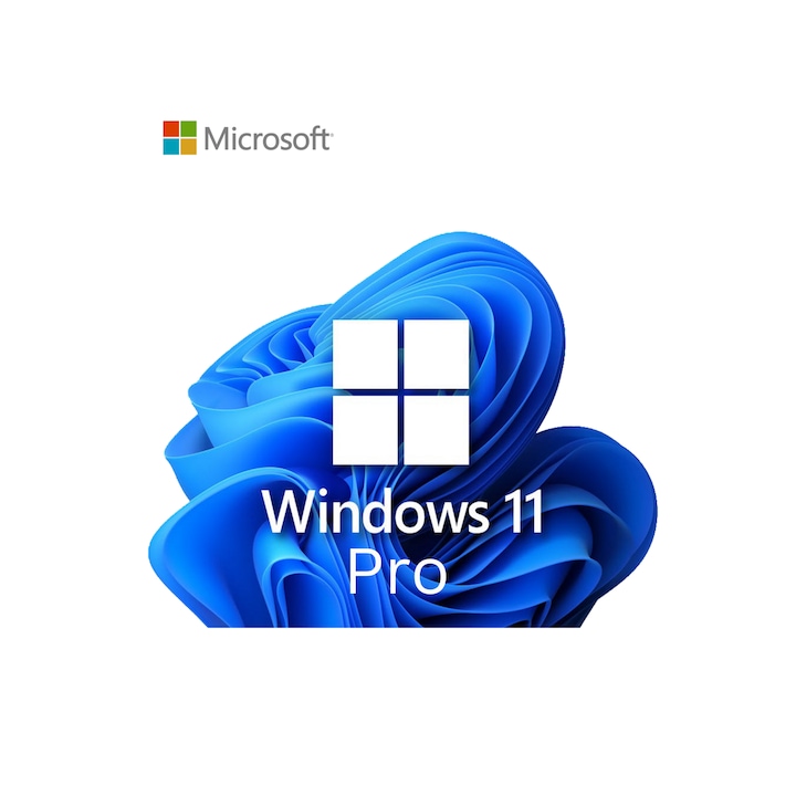 Microsoft® Windows 11 Pro, USB, kiskereskedelem