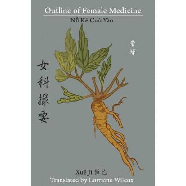 Outline of Female Medicine - Lorraine Wilcox (Translator)