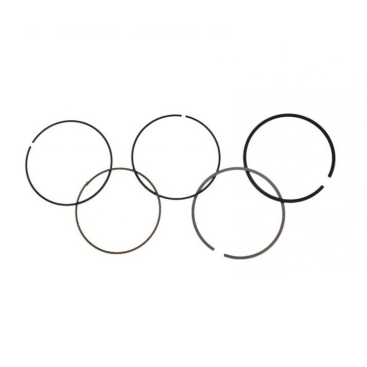 Set segmenti atv Bashan 250cc, 69.00mm, Rival Store 5 buc