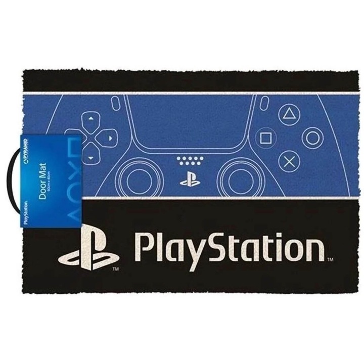 Rogojina PlayStation X-ray Section