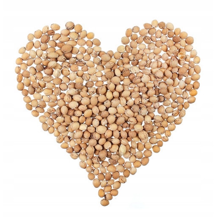 Umplutura, M IMPORT, Sambure de cirese, Pentru dureri, 2 Kg, Bej