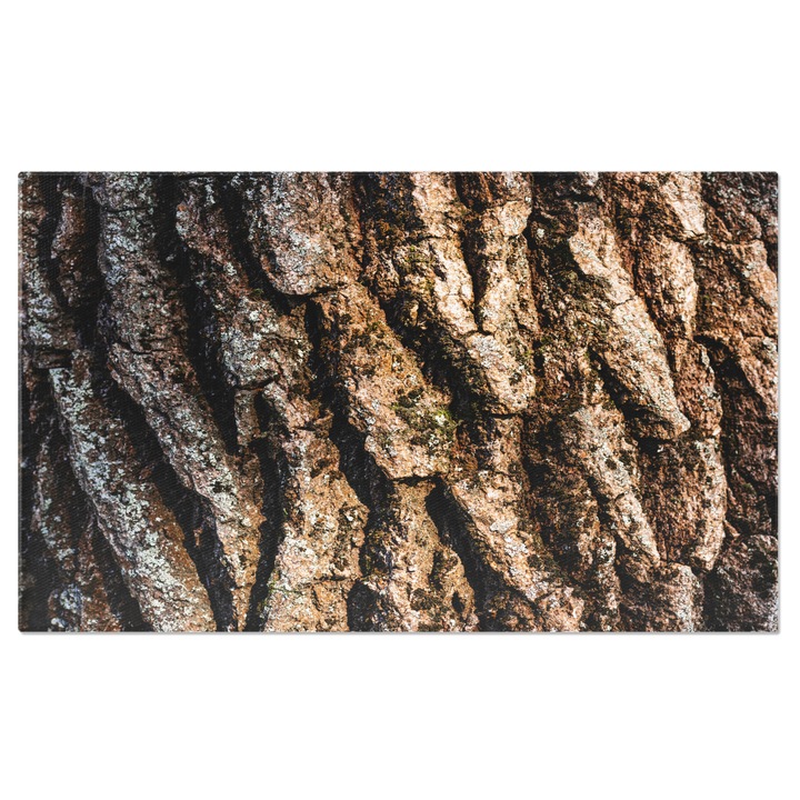 Vászonfestés - Nyári park természetes fa textúrával - természet, külső, textúra, fák 90x60cm