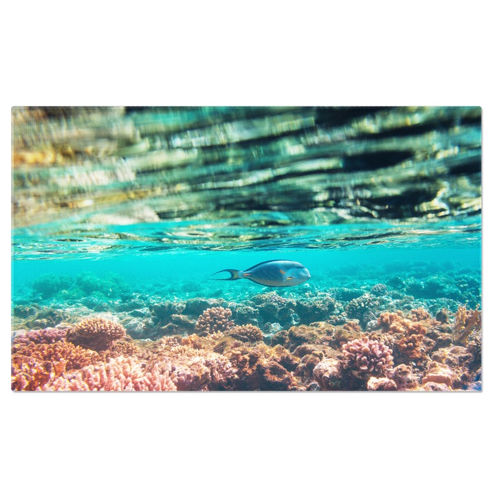 Tablou Canvas cu Recif Coral - Frumusetea Vietii Marine in Apa Egiptului 140x90CM