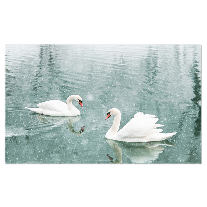 Картина на платно с влюбени лебеди - Хибернски пейзаж в утринната светлина 70x50CM