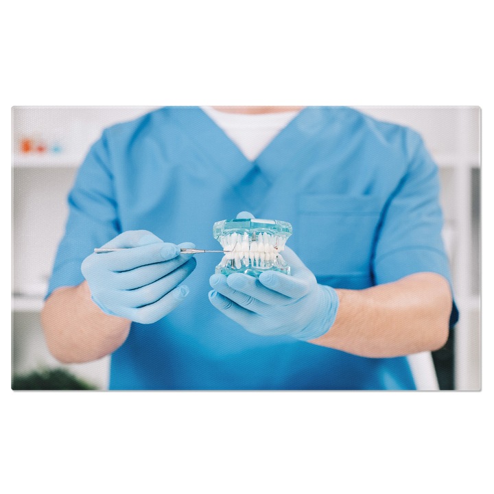 Tablou Canvas: Stomatolog la lucru, ingrijirea sanatatii orale - dentar, sanatate, clinica 40x25CM