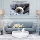 Картина на платно, тиха сиамска котка, гледаща през прозореца - спокойна, без хора, интериор 100x70CM