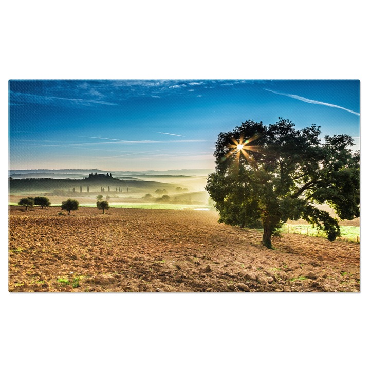 Vászonfestmény: Természet harmóniája - vidéki út, olasz ciprus, napkelte, európai kultúra, parasztház, szántóföld, nyaraló villa 140x90 cm