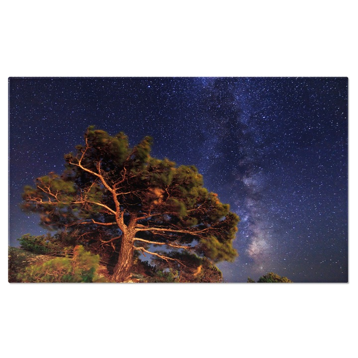 Tablou Canvas Noapte cu stele: siluete sub cerul instelat, magie nocturna 90x60CM