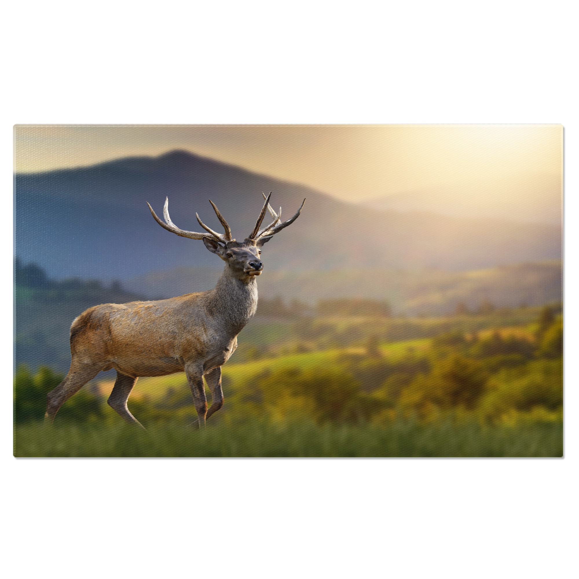 40x25CM EMAG bg 40x25cm-emag-bg