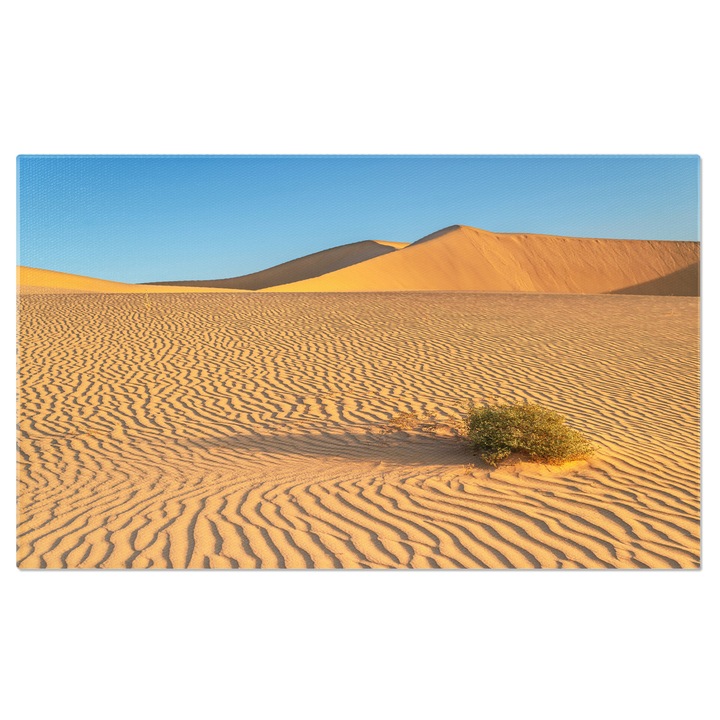 Tablou Canvas: Desertul Urmaresc - Clima Extrema 100x70CM