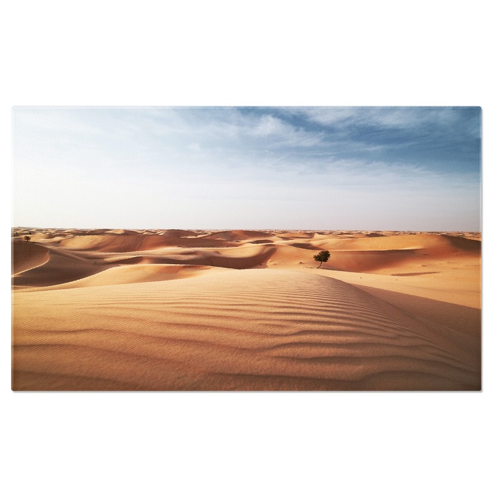 Tablou Canvas: Dune de Nisip in Abu Dhabi 140x90CM