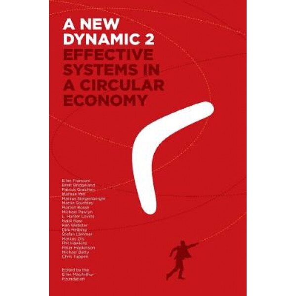A New Dynamic 2- Effective Systems in a Circular Economy - Ellen Franconi (Author)