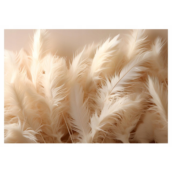 Boho Beige Toll Tapéta 254x184 cm, Nem szőtt Tapéta, Dekoratív, Fal, Nappali