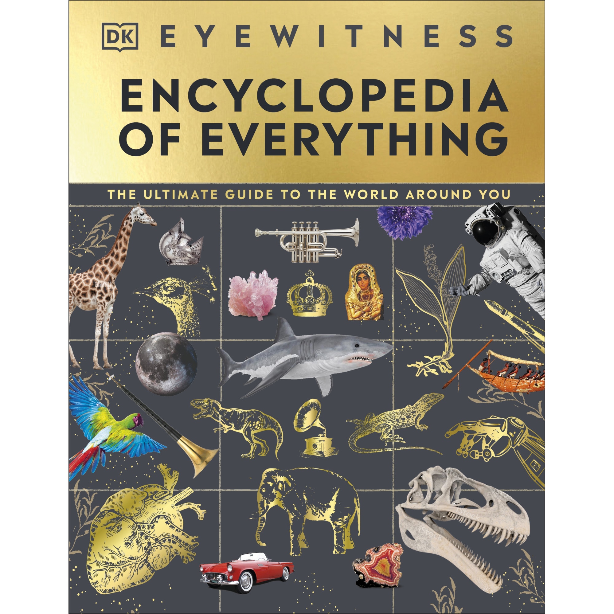 Eyewitness Encyclopedia of Everything de DK - eMAG.ro