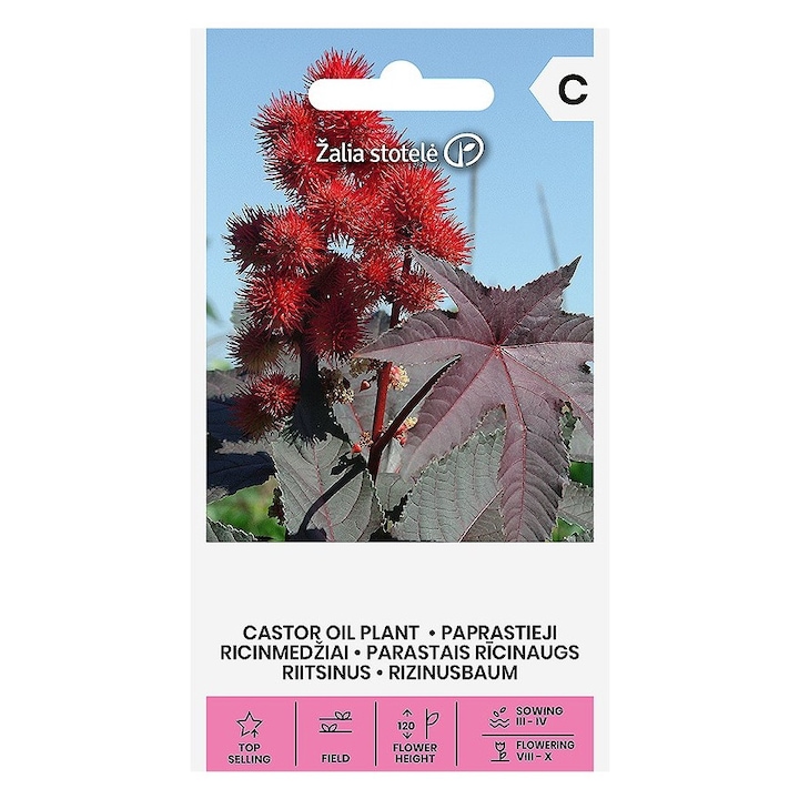 Seminte, Ricin, Žalia Stotelė, plic, 5 buc