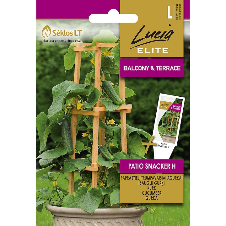 Seminte, Castraveti Patio Snacker H, Lucia Elite, plic, 10 seminte