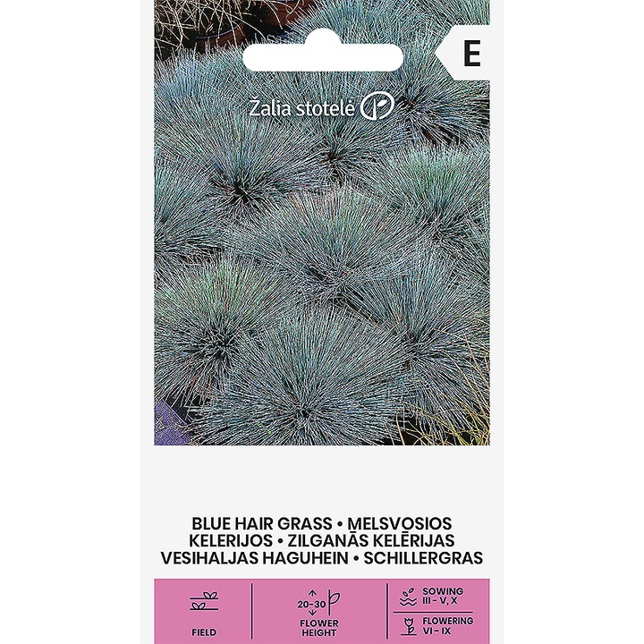 Seminte, Iarba Ornamentala Blue Hair Grass, Žalia Stotelė, plic, 0.3 grame