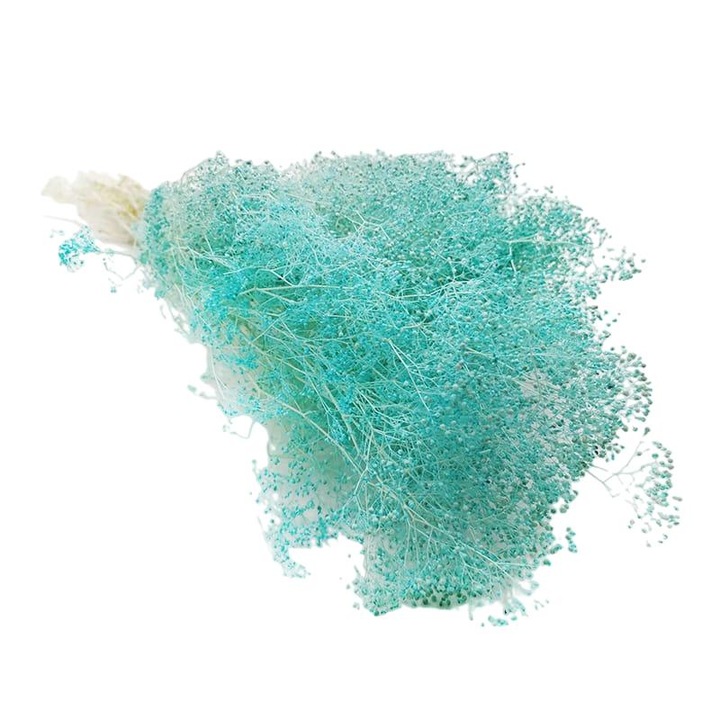 Buchet Gypsophila, 80g, 50cm, Turcoaz