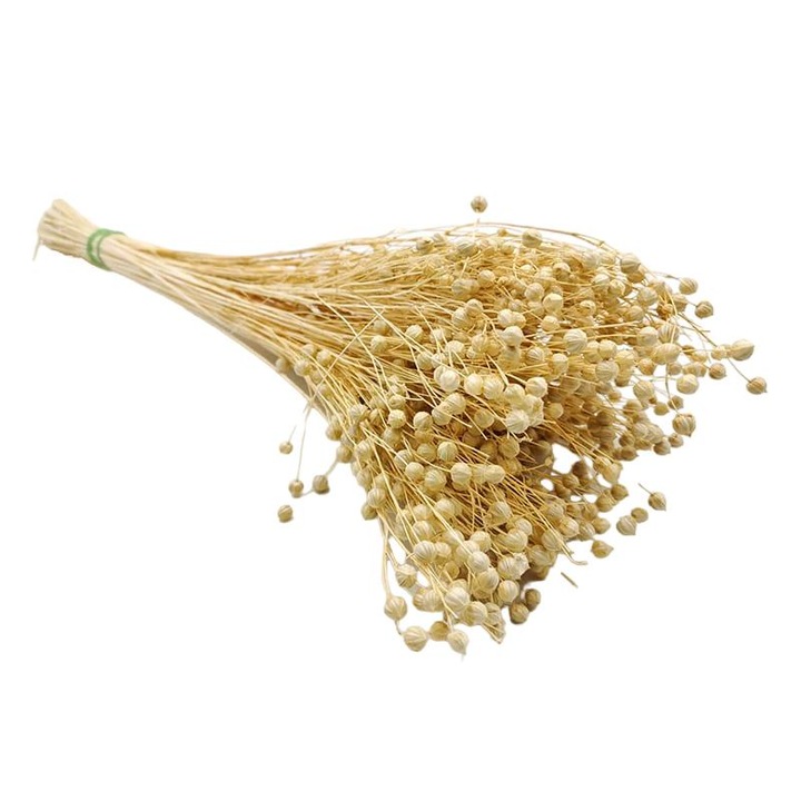 Flori uscate de in, 40 cm, Alb