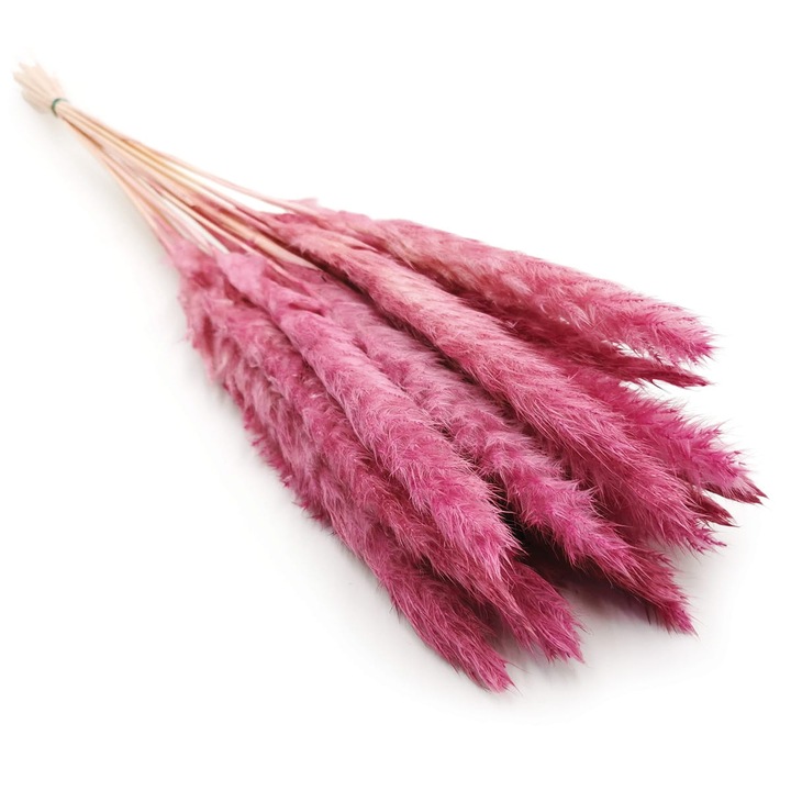 Mini pampas uscat, 60 cm, 55 g, Roz
