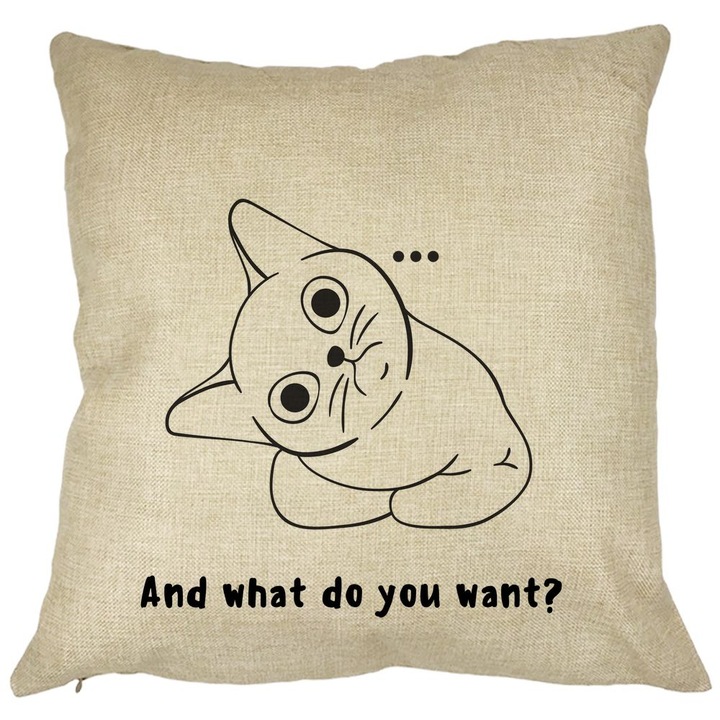 Díszpárna, És mit szeretnél?, 40x40 cm, Levehető huzat, Fújtató