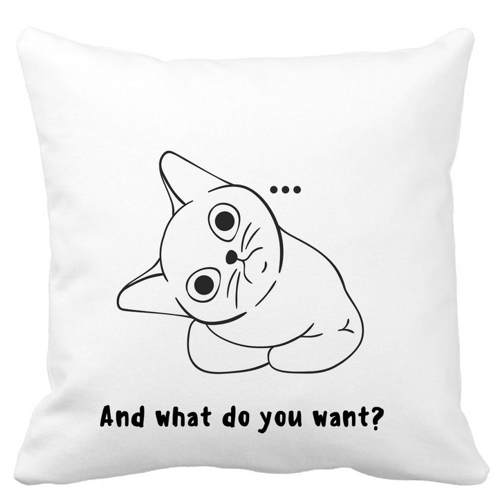 Dekoratív párnahuzat, És mit szeretnél?, Fehér, Matt, 40x40 cm