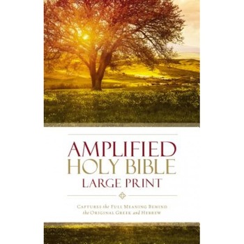 Amplified Bible-Am-Large Print: Captures the Full Meaning Behind the Original Greek and Hebrew, Zondervan Bibles (Manufactured by) Amplified Bible-Am-Large Print: Captures the Full Meaning Behind the Original Greek and Hebrew, Zondervan Bibles (Manufactured by)