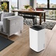 Dezumidificator si Purificator Turbionaire SENSO 12 SG Clean, 12 l/24h, Filtru Turbionaire T-Clean HEPA + Carbon, Silentios 36 dB, Rezervor 2l, 120 m³/h, Display Led, Timer