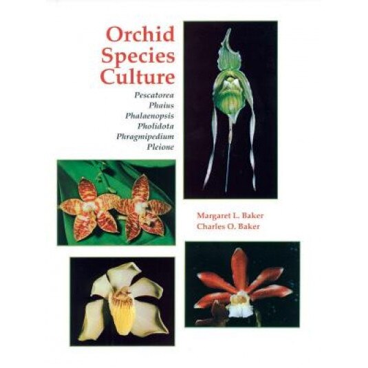 Orchid Species Culture: Pescatorea, Phaius, Phalaenopsis, Pholidota, Phragmipedium, Pleione, Margaret L. Baker (Author)