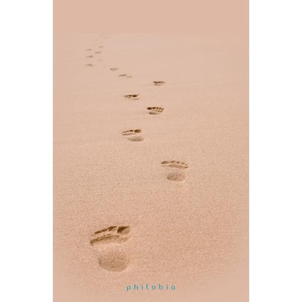 Urme pe nisip - Anne-Dauphine Julliand