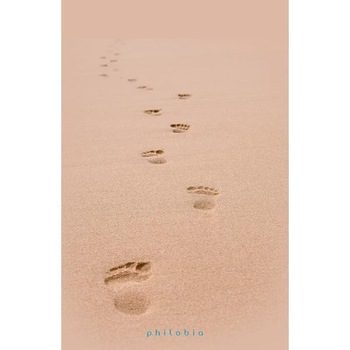 Urme pe nisip - Anne-Dauphine Julliand Urme pe nisip - Anne-Dauphine Julliand