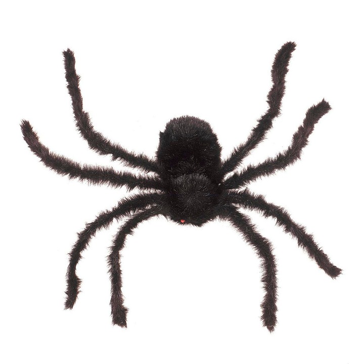 Tarantula Widmann