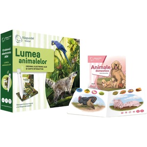 Jocuri si jucarii educative