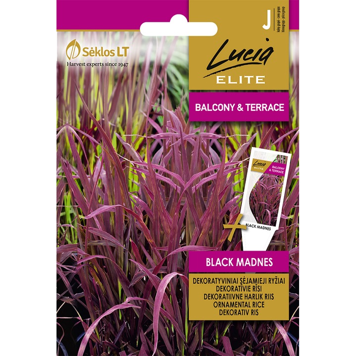 Seminte, Orez Ornamental Black Madnes, Lucia Elite, plic, 2 grame