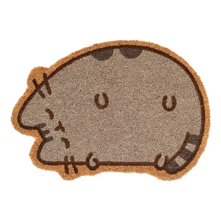 Bejárati szőnyeg, PUSHEEN, 40 x 60 x 1,5 cm, barna