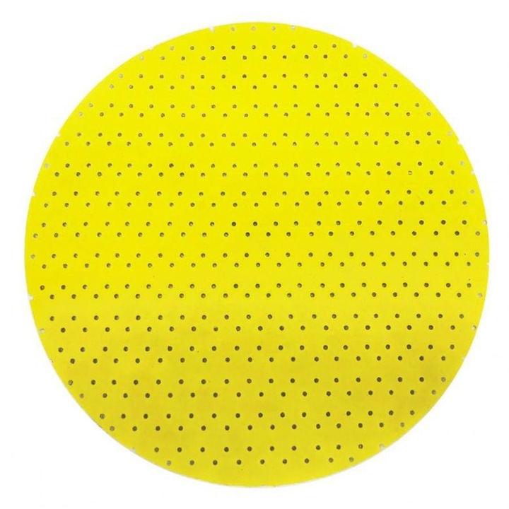 Set Premium 5 Discuri Abrazive Perforate 180mm, Granulatie 60, Compatibile Universal, pentru Slefuire Rapida si Eficienta Lemn, Metal, Vopsea, Glet, Ideale in Atelier sau Casa, Accesorii Profesionale, Hartie Abraziva Durabila