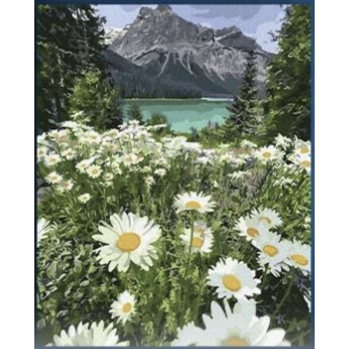 Tablou PM1004 Camp de margarete la munte, Picteaza dupa numere, cu rama de lemn, 40 x 50 cm