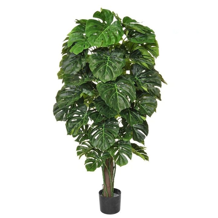 Pom Artificial Monstera, Money Plant, 180 cm, Fara Ghiveci Inclus