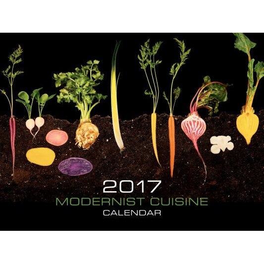 Modernist Cuisine 2017 Wall Calendar, Nathan Myhrvold (Author)