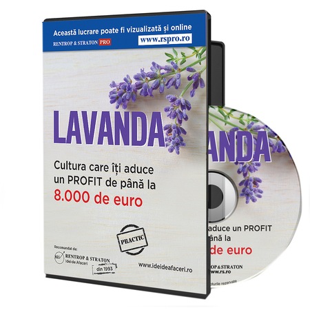 Cultura De Lavanda Emag Ro