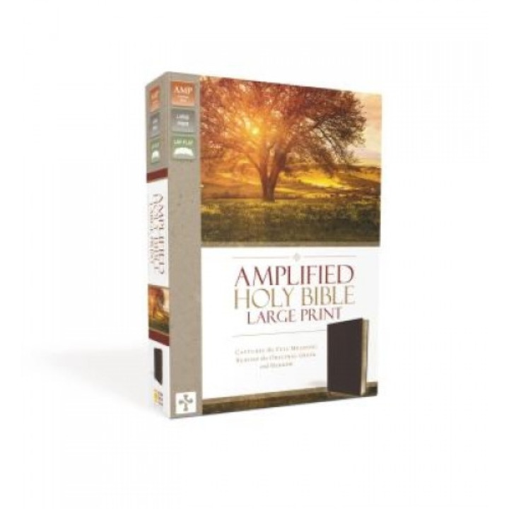 Amplified Bible-Am-Large Print: Captures the Full Meaning Behind the Original Greek and Hebrew, Zondervan Bibles (Manufactured by)