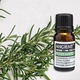 Ulei Esential de Rozmarin, aromaterapie, puritate 100%, nediluat, 10 ml