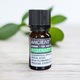 Ulei Esential de Rozmarin, aromaterapie, puritate 100%, nediluat, 10 ml