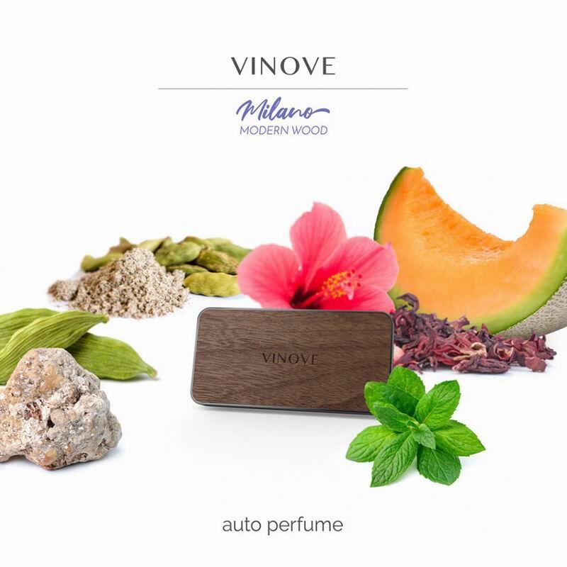 VINOVE Warsaw Deodorante Per Auto – Profumo Ananas, Fiori E Legno – Durata 90 Giorni, Fissaggio In Griglia - 4